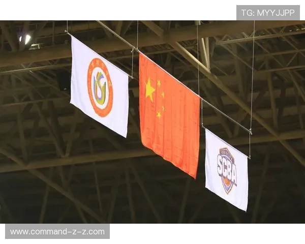 体育联赛模式有哪些（体育联合）sports